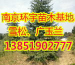 ϾЭh(hun)ľأѩVmԃԒ13851902777