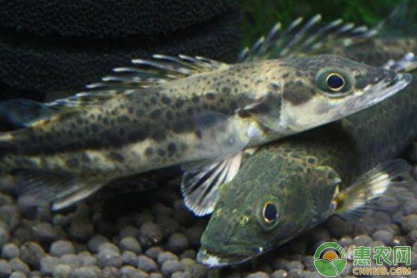 ˮʯ~Z~ą^(q)eʳʯ~˼ȺB