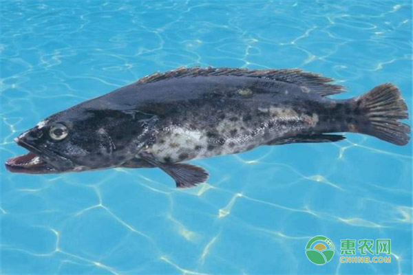 ˮʯ~Z~ą^(q)eʳʯ~˼ȺB