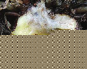 U(ku)չoo(ni)a(chn)ɫճĺ